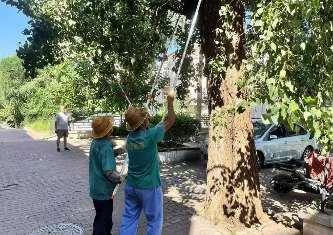 360截图20250224191110124.png
